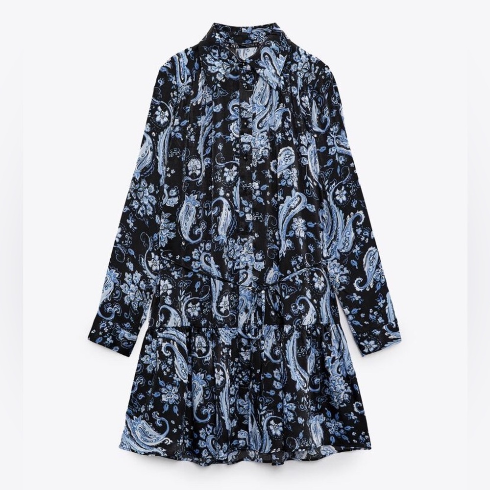 Zara Printed Dress